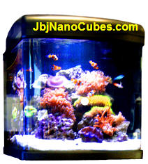 New 28 nano Led by JBJ