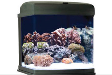 Aquariums