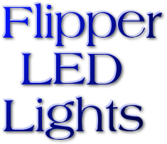 flipper-led-logo