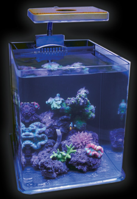 8 Gallon RL-80 JBJ Rimless Biotope Aquarium