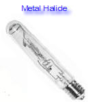 Metal Halide Bulbs