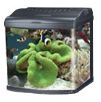 24G ALL LED Nano Cube MT-508L