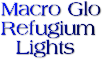 macro-glo-logo
