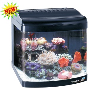 all-led-260-2_20160211070203