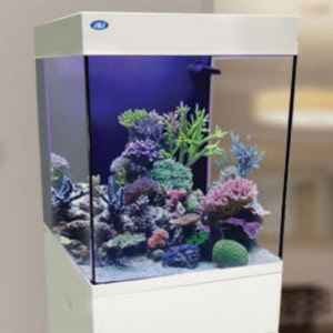 big-cubey_20170712104048