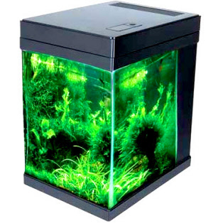 jbj-3gallon-cubey-black