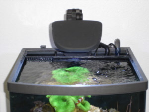 k-2viper003_20160212124142