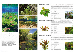plant_guide_sample_page