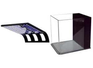 8G RL Tank With Flipper Light