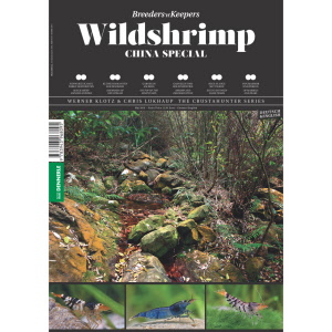 wildshrimp_china_black